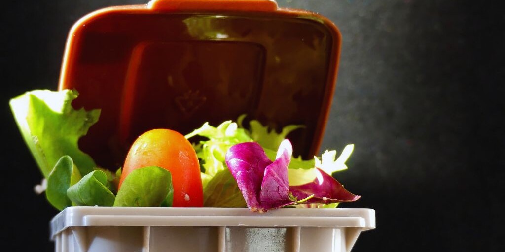 The Alarming Reality of Food Waste in America: Causes and Solutions