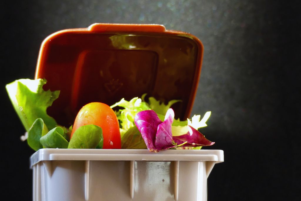 The Alarming Reality of Food Waste in America: Causes and Solutions