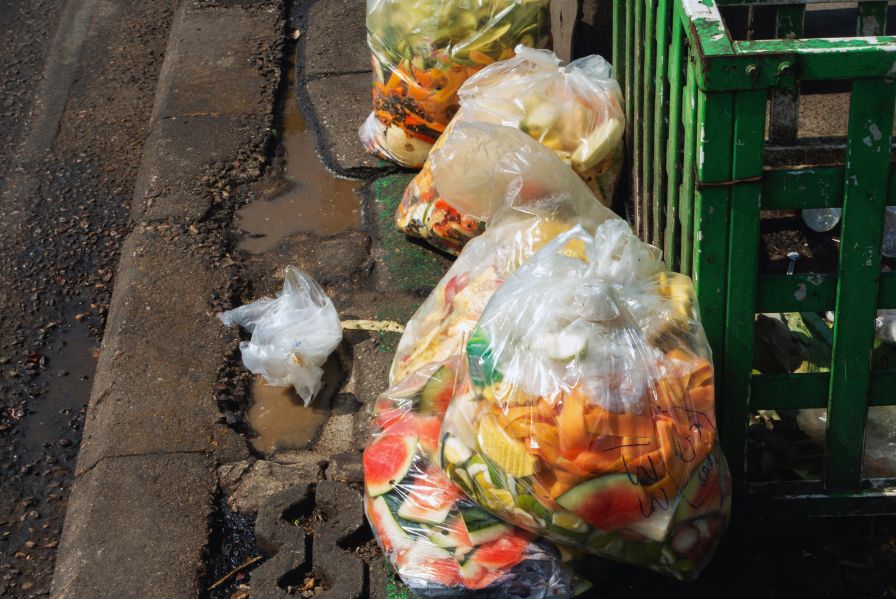 Effective Food Waste Management: Strategies for Reducing Waste in Your Home