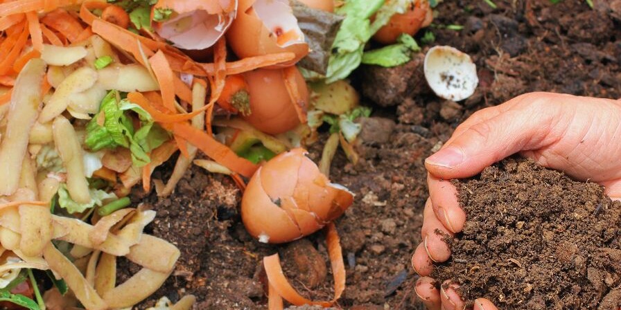 Why Food Waste Recycling Is Essential for Sustainable Living