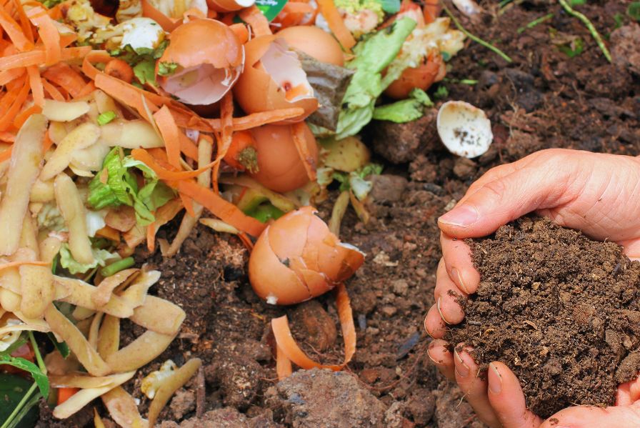 Why Food Waste Recycling Is Essential for Sustainable Living